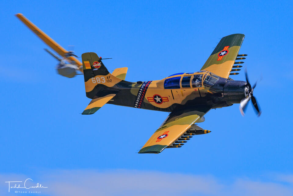 Skyraider with PBY Catalina print