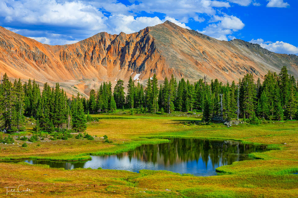 Mount Nimbus Reflection print