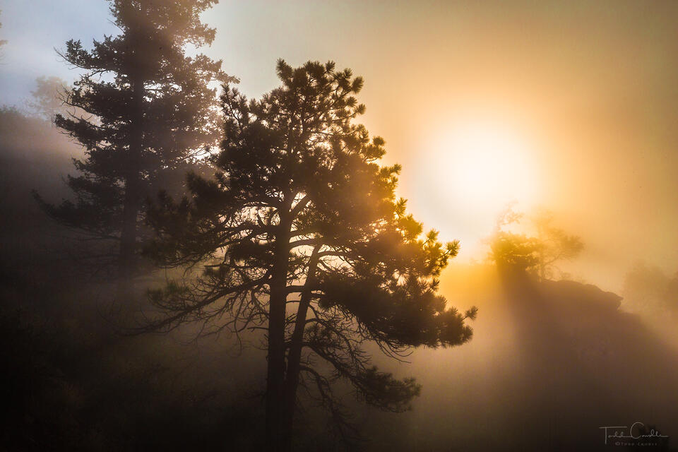 Foggy Sunset print