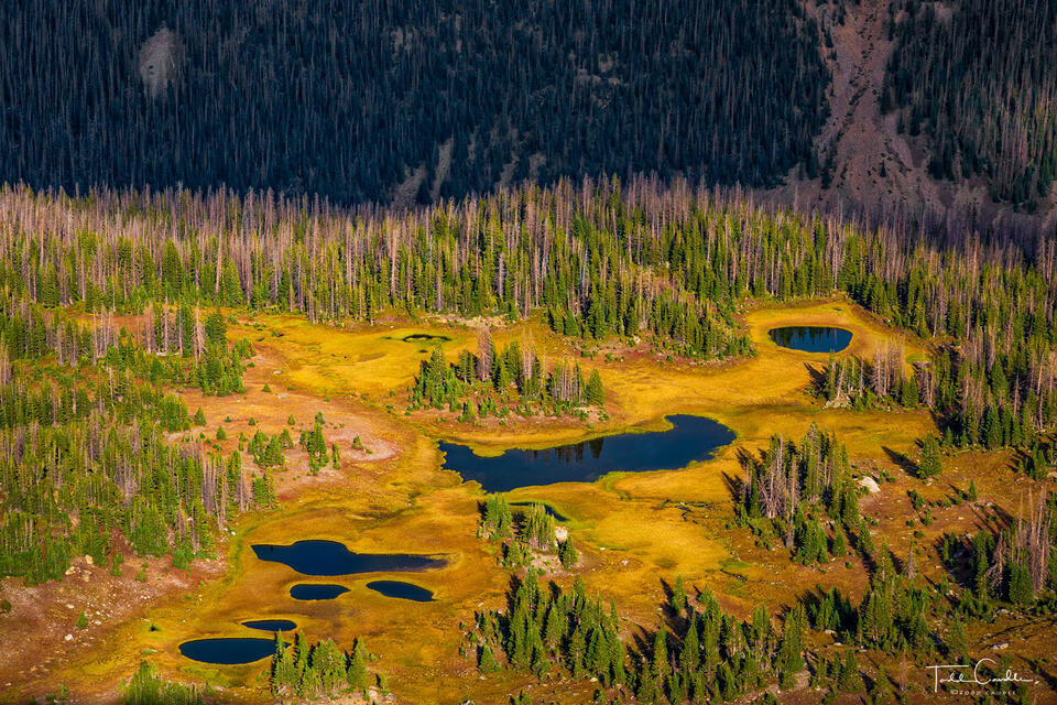 Bench Lakes Below Mount Cindy print