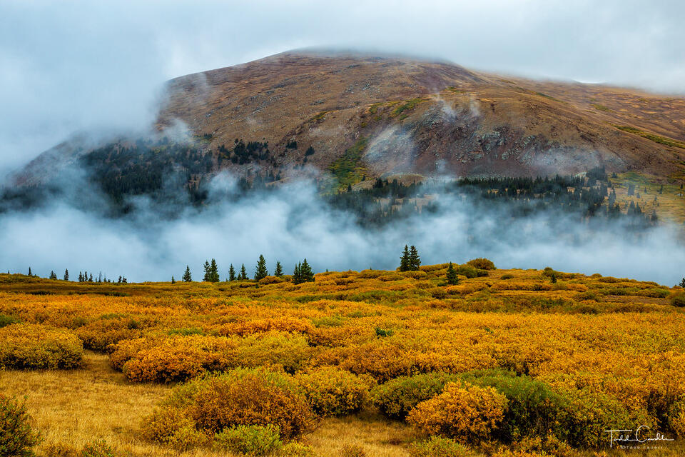 Autumn Tundra & Fog print