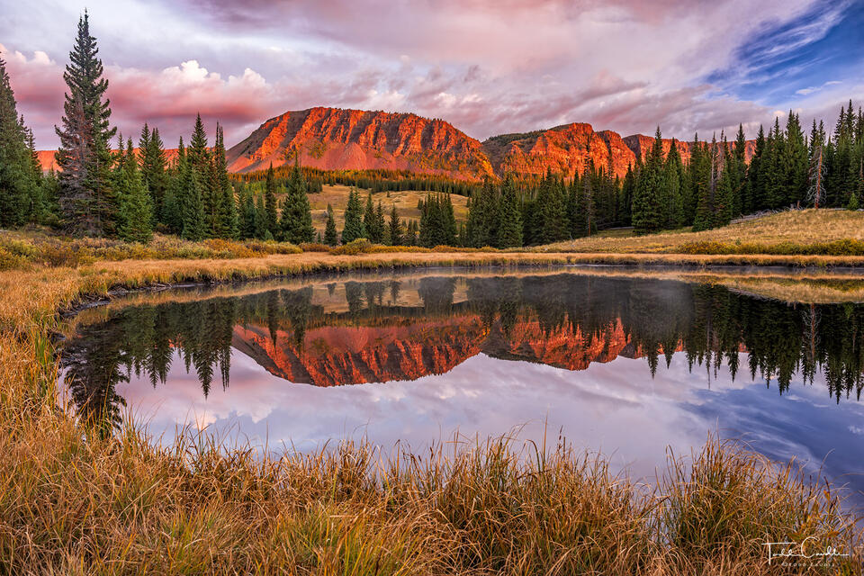 Alpenglow Mirror & Grasses print