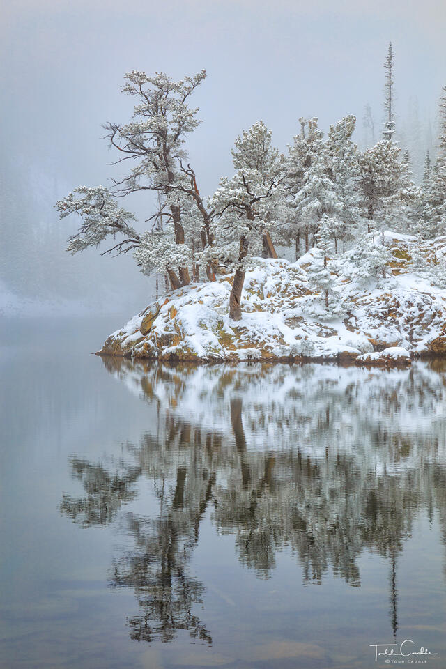 Foggy Peninsula (vertical) print