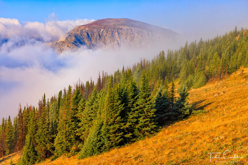 Terra Tomah Clouds print