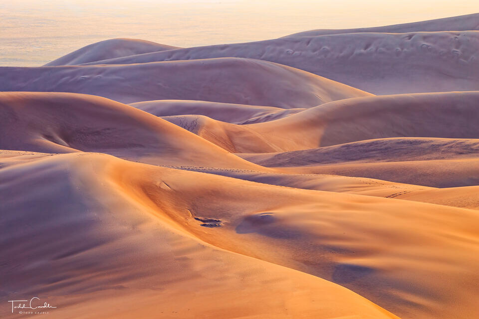 Hazy Dunes print