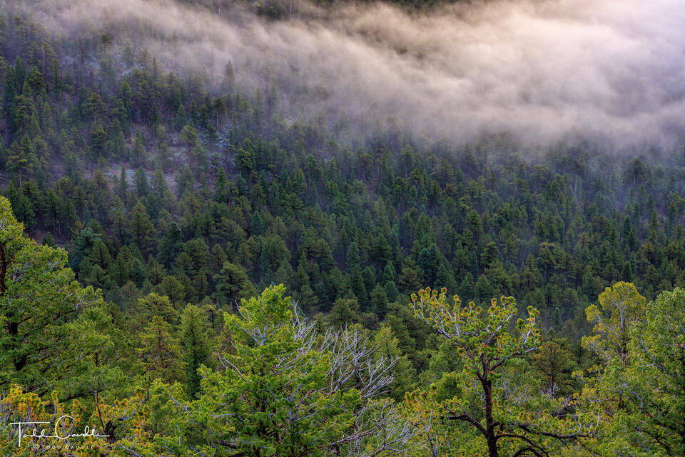 Beaver Creek Fog #1 print