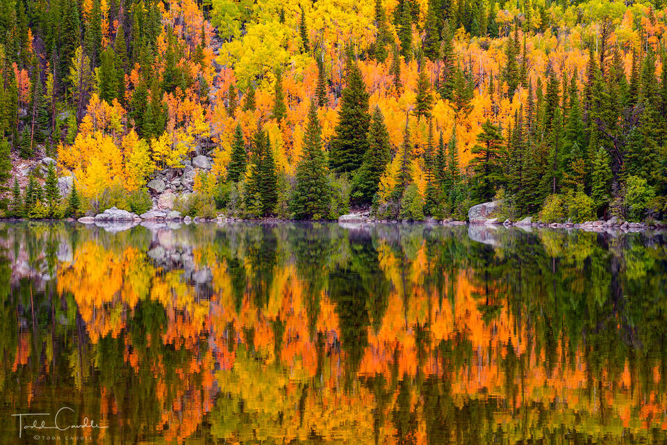 Autumn Forest Reflection (horizontal) print
