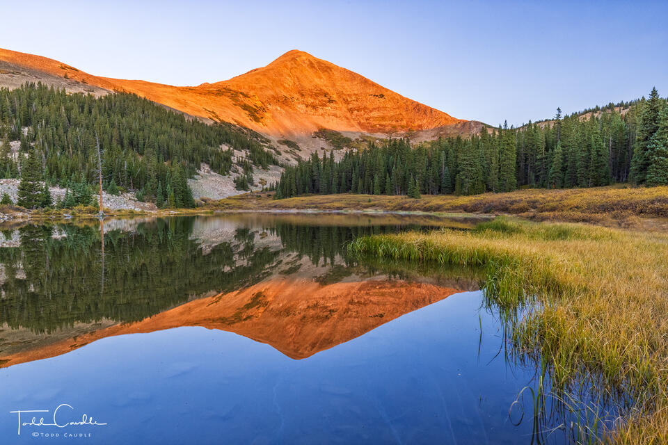 Mount Guyot Alpenglow Reflection print