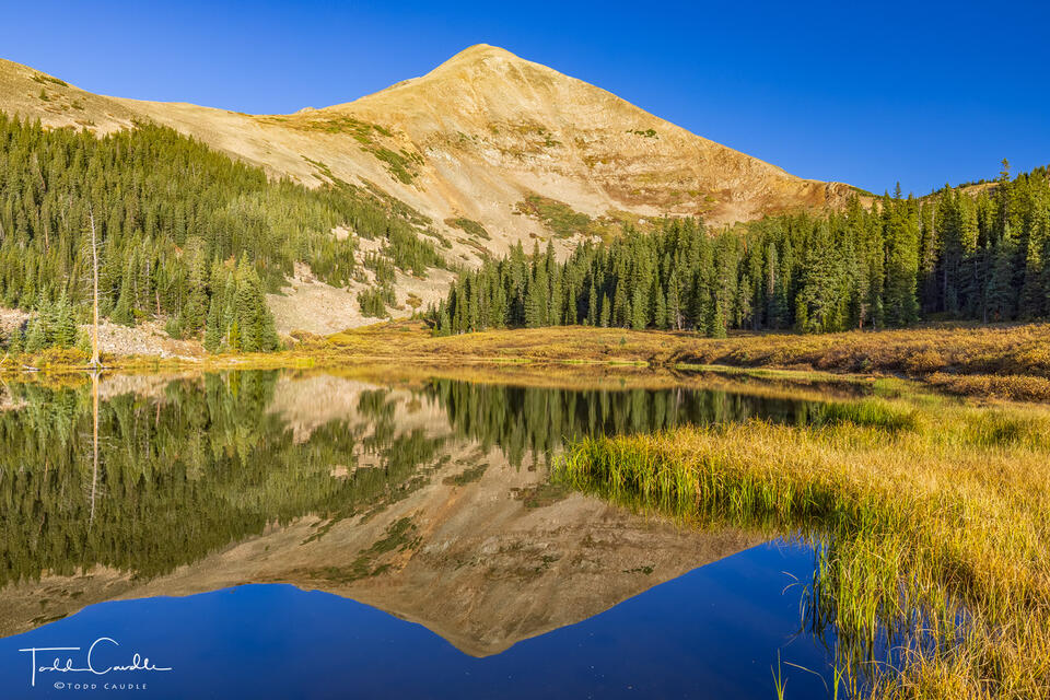Mount Guyot Morning Reflection print