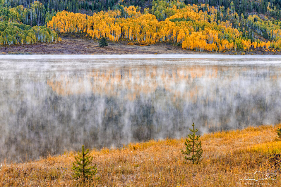 Misty Aspen Reflection #2 print