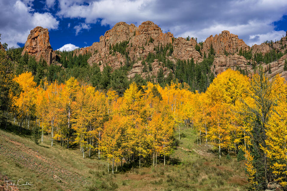 Fall Colors at Cathedral Park print