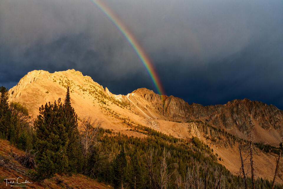 Approaching Storm print