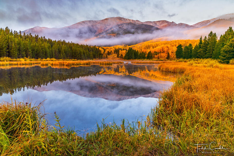 Foggy Morning Reflection print