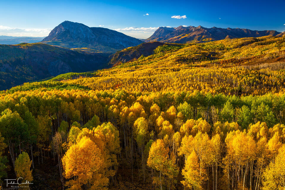 Dark Canyon Fall print