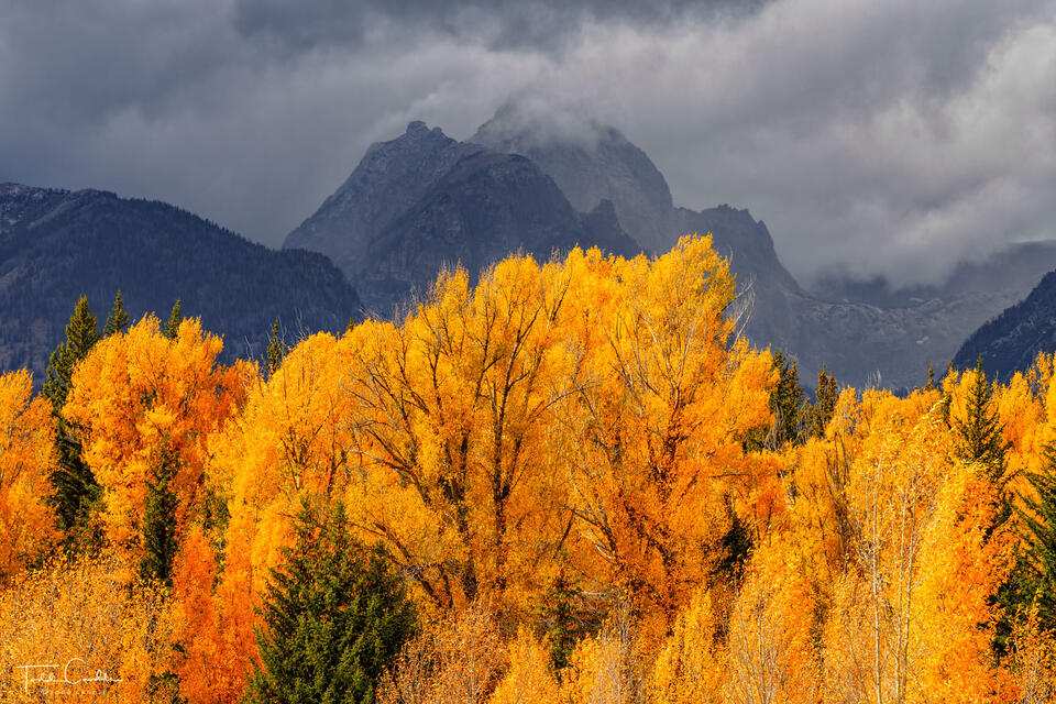 Stormy Autumn in the Teton Range print