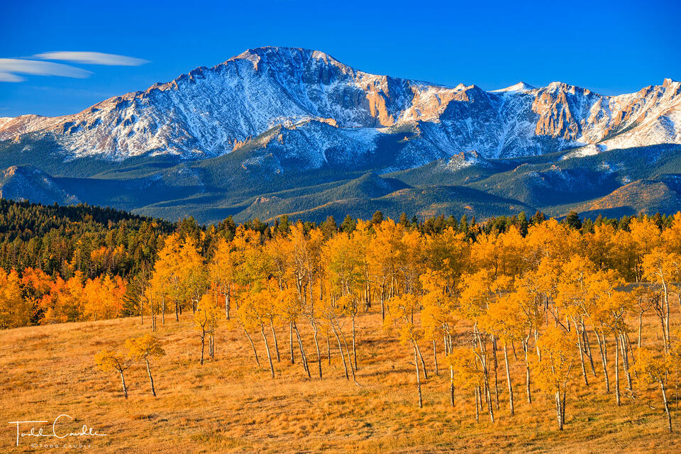 Pikes Peak North Face Autumn print