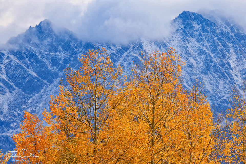 Aspens & Stormy Peaks print