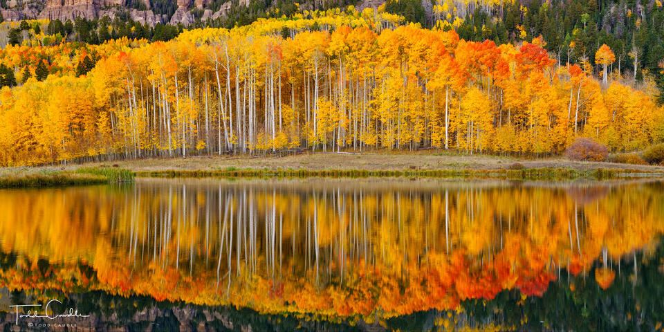 Aspen Mirror (Panorama) print