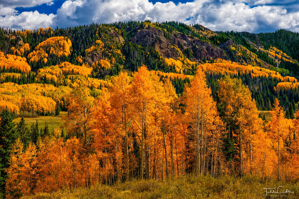 La Manga Pass Autumn #3 print