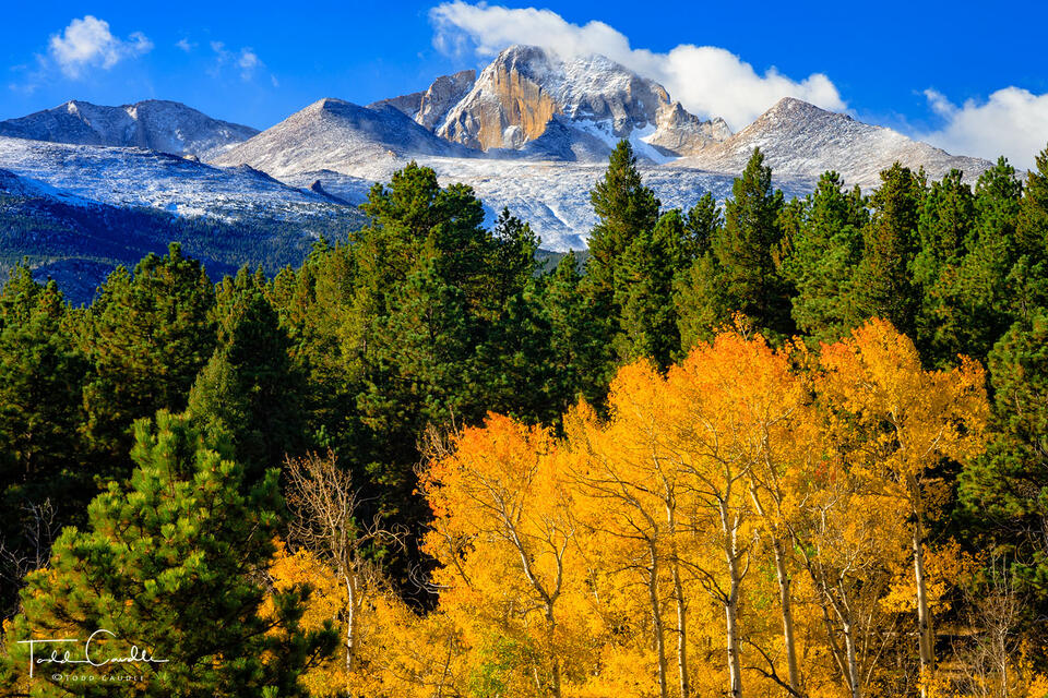 Autumn Gold Below Longs Peak print