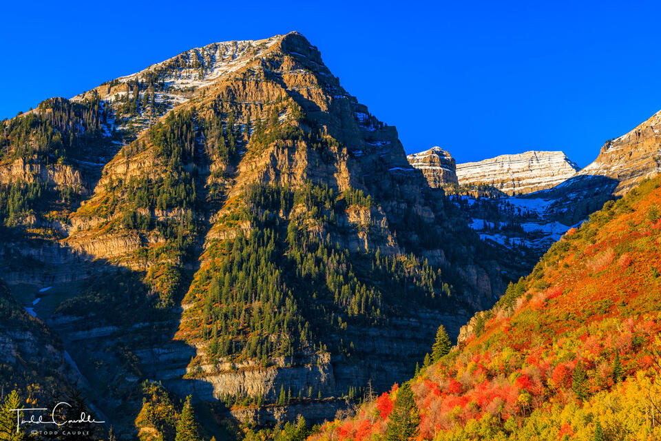 Timpanogos Autumn Morning print