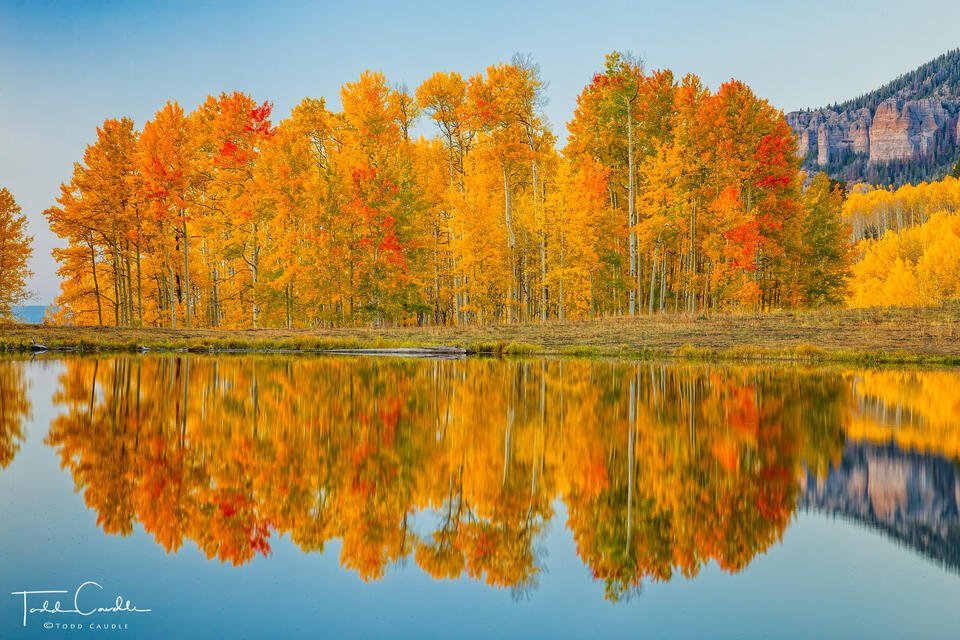 Twilight Aspen Reflection print
