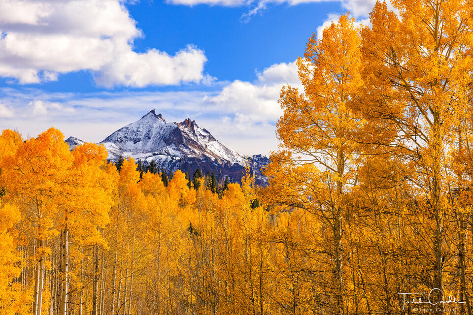 Cimarron Range Fall print