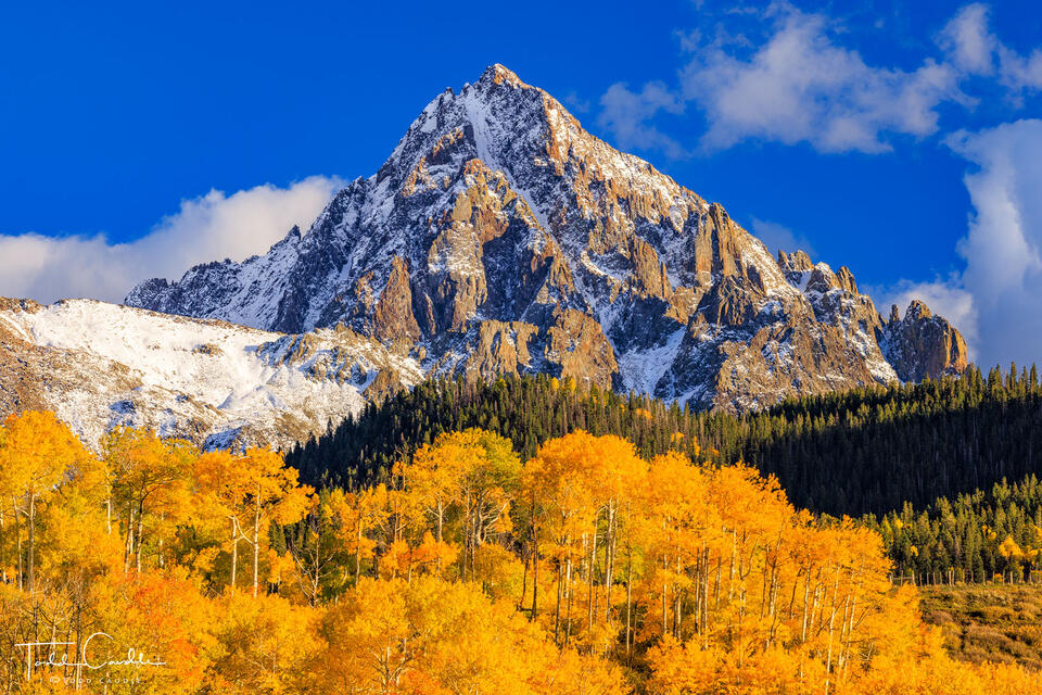 Fall Colors below Mount Sneffels print