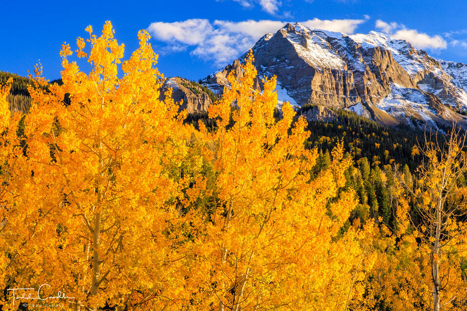 Sneffels Range Fall print