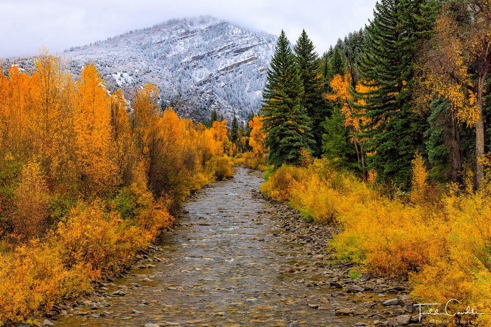 Along Anthracite Creek print