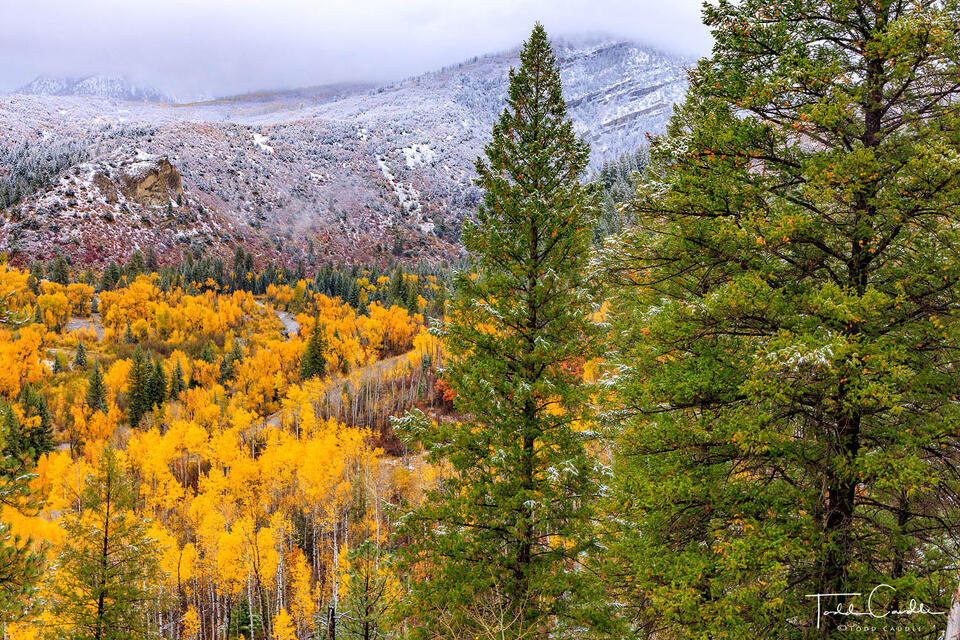 Above Anthracite Creek print