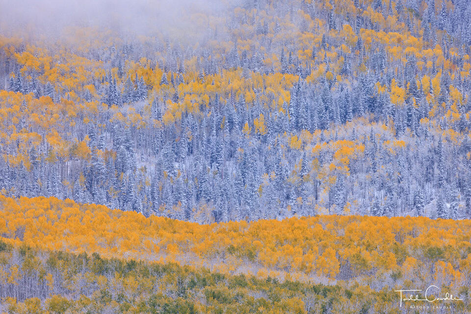Kebler Pass Clash of Seasons print