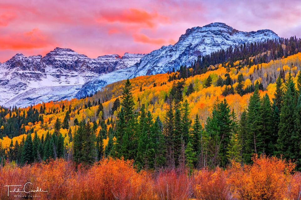 Autumn Sunset print