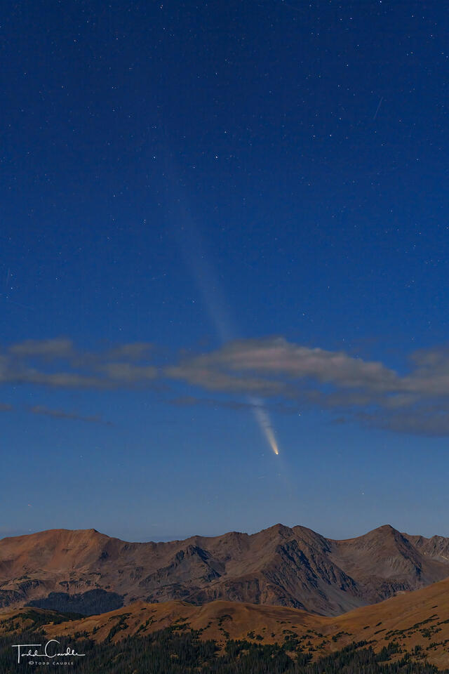 Comet Tsuchinshan-ATLAS (vertical) print