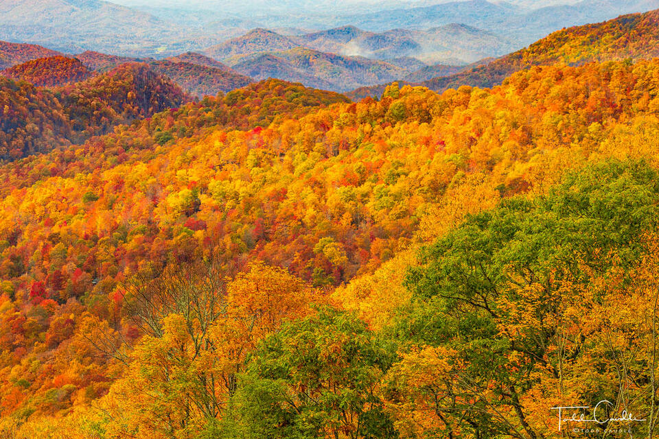 Fall Color on Thunder Struck Ridge print