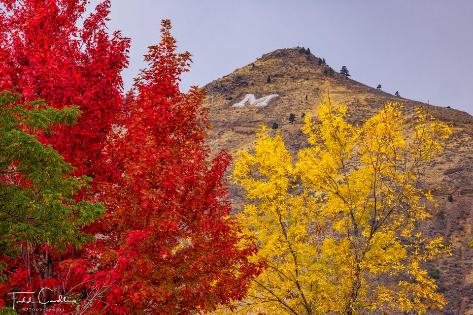 Mount Zion Autumn print
