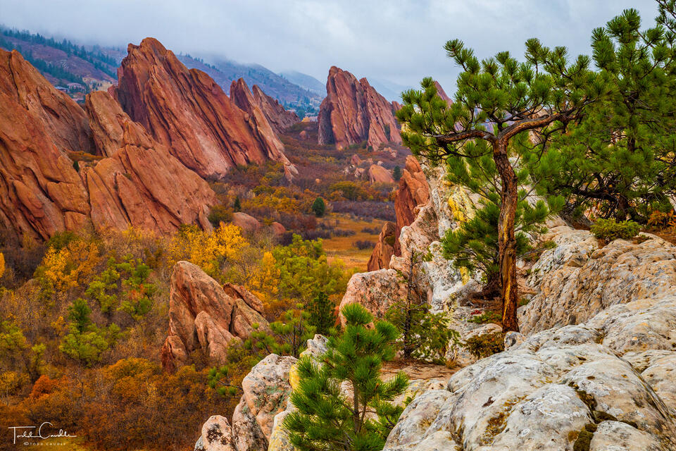 Lyons Overlook in Fall print