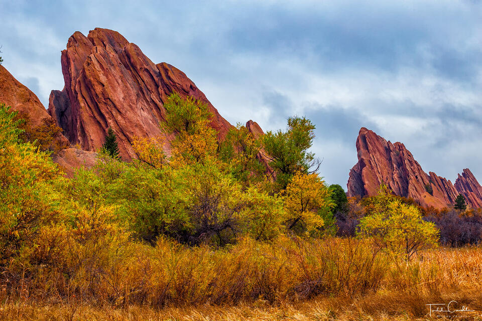 Lyons Valley Fall Color print