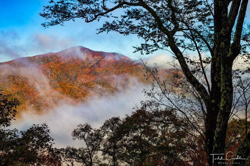 Cold Mountain and Fog print