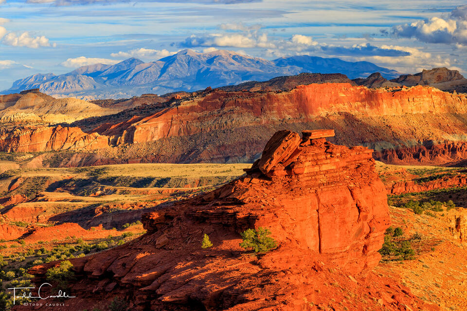 Desert, Canyons, Mesas & Mountains print