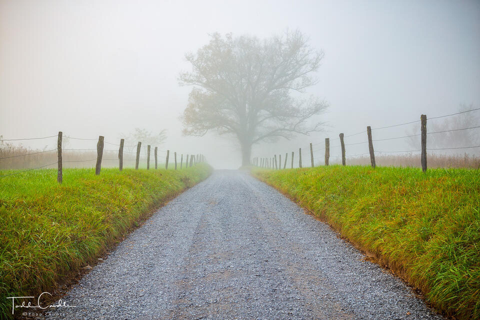 Cades Cove Fog print