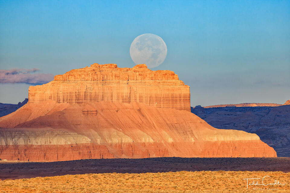 Moonset Over the Reef print