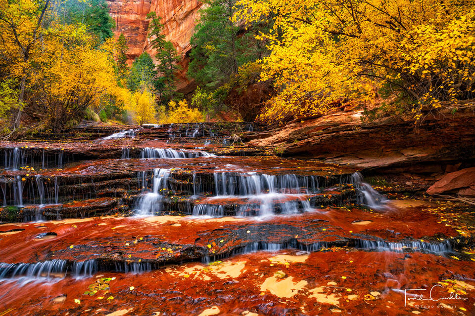 Terraced Waterfall & Fall Colors print