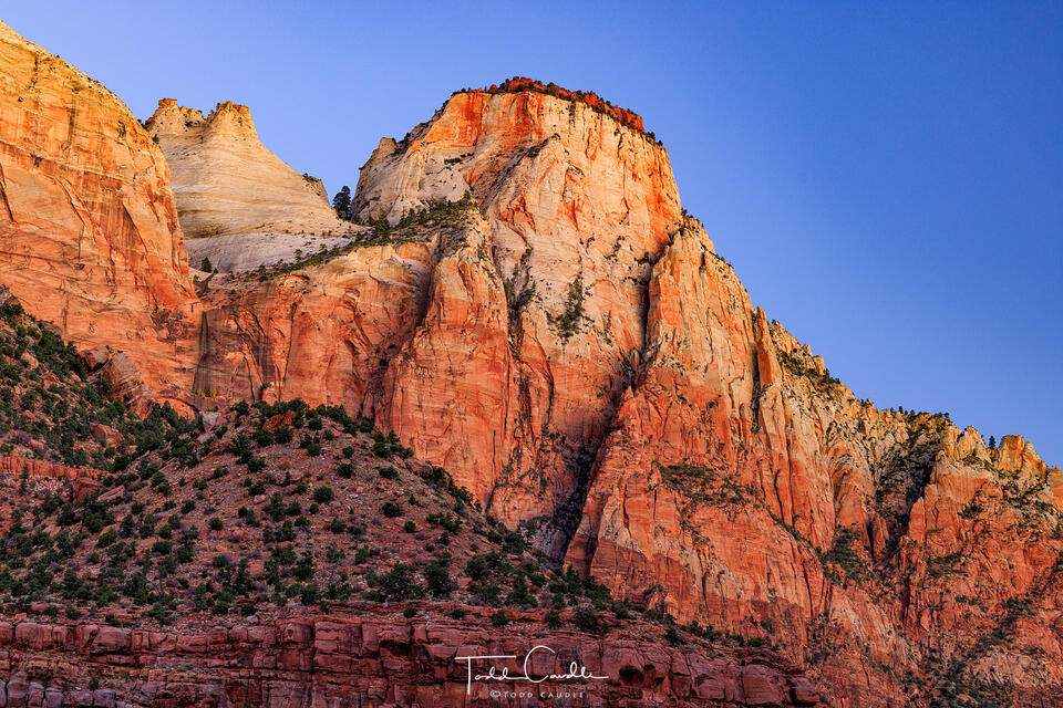 Predawn Glow print