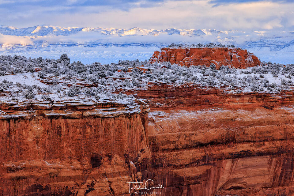 Saddlehorn Snow print