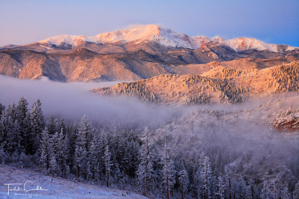 Frosty Forest Below Pikes Peak print