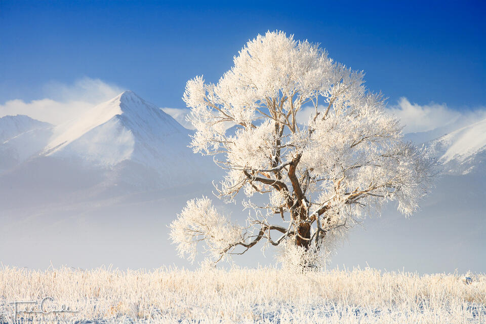 Frosted Valley print