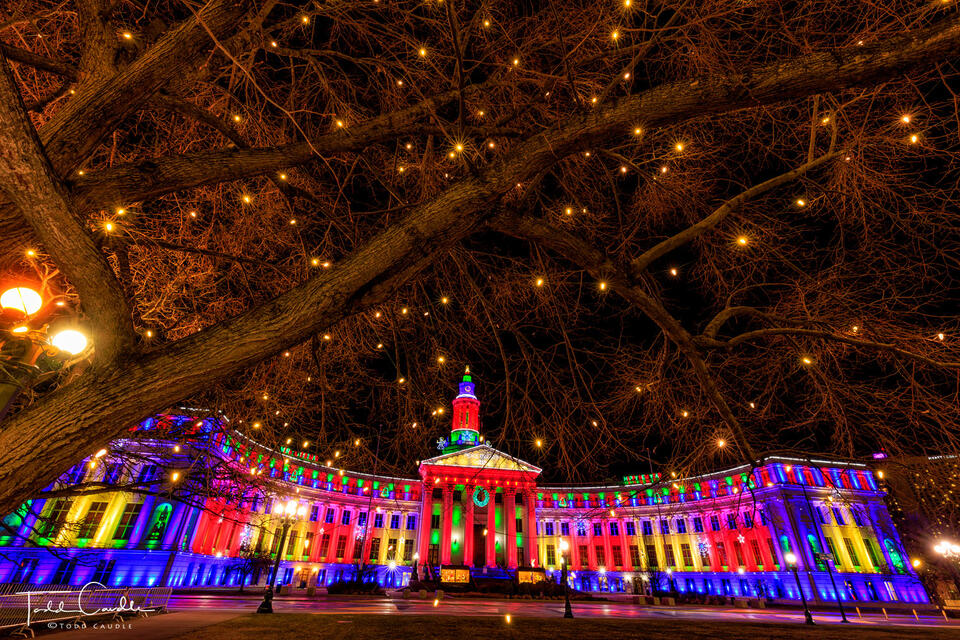 Liberty Park Lights print