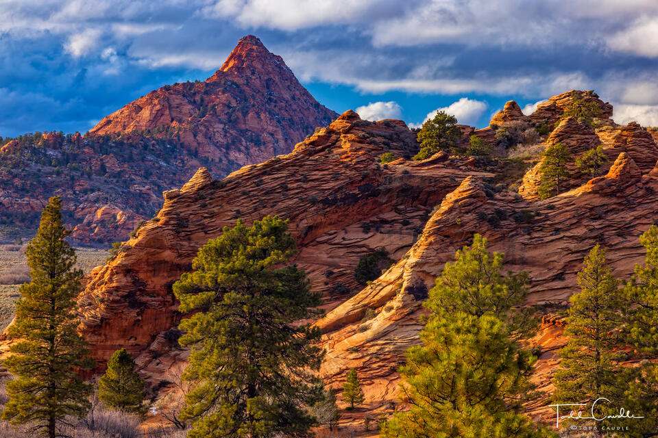 Red Butte and Hoodoos print