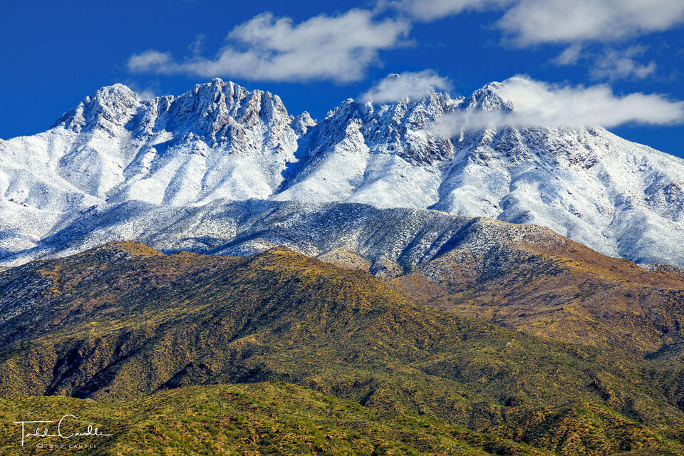 Four Peaks Snow print
